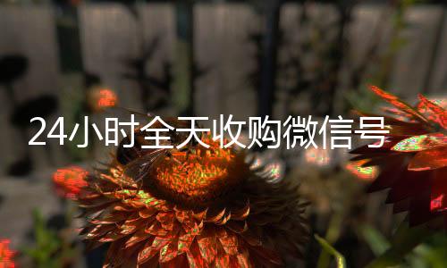24小时全天收购微24小时收微信信号（出售微信24小时在线回收）